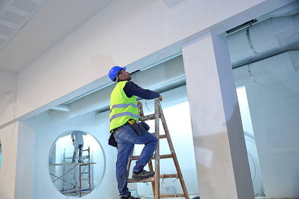 Professional Mold Removal in Cedar Rapids, IA